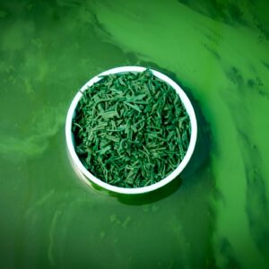 Spiruline